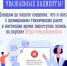 Записаться к врачу в электронном виде можно через портал госуслуг и медицинский личный кабинет Мурманской области - Город Мончегорск