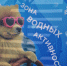 Водный Фестиваль Норникеля ждет мончегорцев на Ленинградской набережной - Город Мончегорск