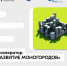 Акселератор «Развитие моногородов» - Город Мончегорск