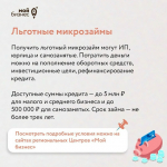 Каждый десятый предприниматель использует меры господдержки