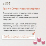 Каждый десятый предприниматель использует меры господдержки