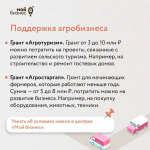 Каждый десятый предприниматель использует меры господдержки