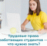 Трудовые права работающих студентов — что нужно знать? - Город Мончегорск