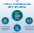 Социальная поддержка, занятость и доступная среда: глава Минтруда Антон Котяков рассказал о планах на предстоящую трехлетку - Город Мончегорск